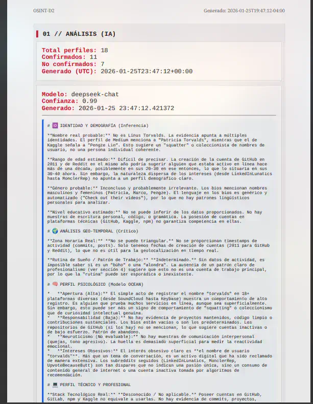 OSINT PDF report preview